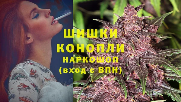 гидра Баксан
