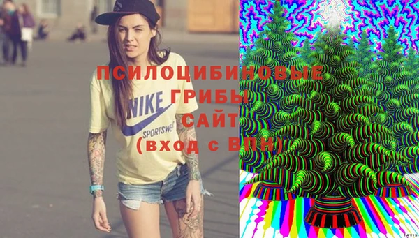 гидра Баксан
